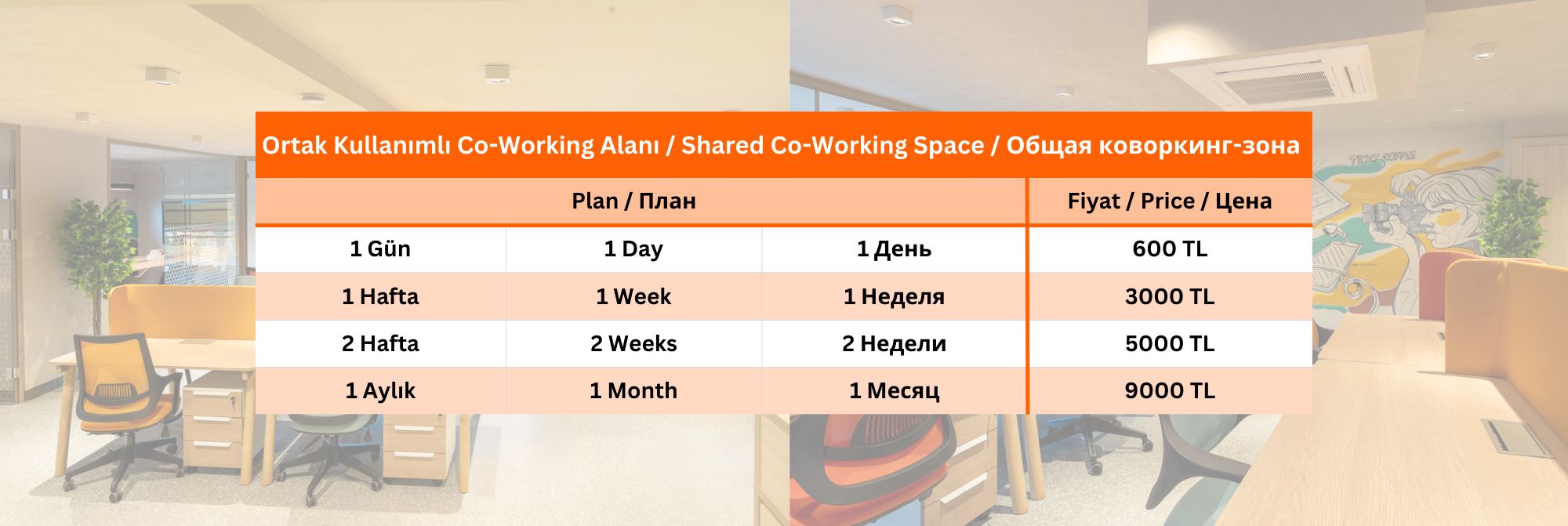 Ortak Kullanımlı 1